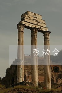 劳动合同法 释义 劳动合同法 释义